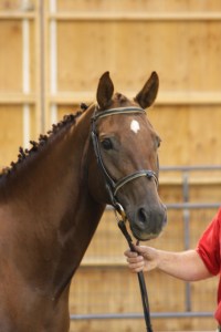 Dartmouth at her Oldenburg inspection
