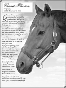 Grand Illusion Tribute