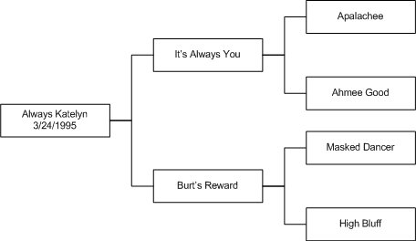 Always Katelyn Lineage