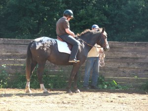 ranch-2 Shepherd Farm Youth Ranch