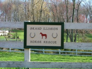 Grand Illusion Horse Rescue